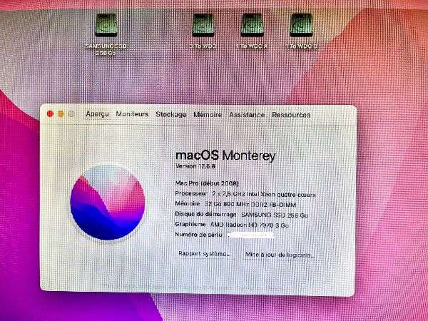 Apple Mac Pro early 2008, 3.1, Mac OS Monterey 12.6.8, + 2 écrans Apple.